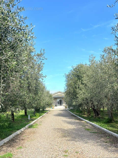 Maison à BORGO