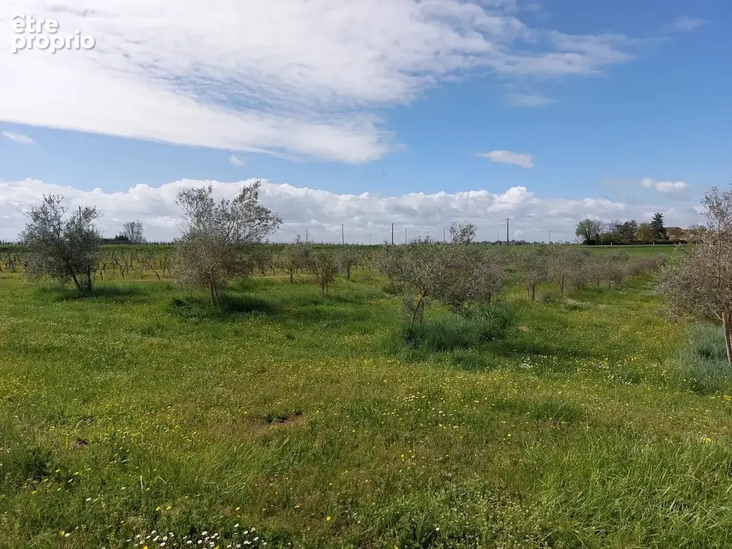 Maison en pierre à renover avec dependances et terrain de 2.5 ha attenant - photo 10