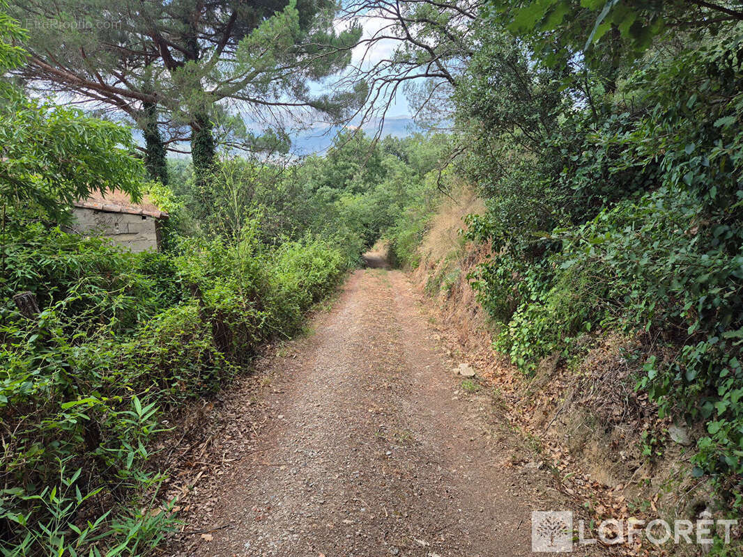 Maison Los Masos sur terrain de 4300m2 - photo 24
