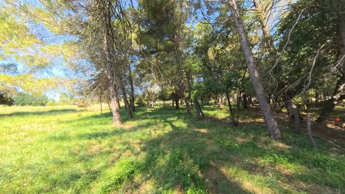 Terrain à SILLANS-LA-CASCADE