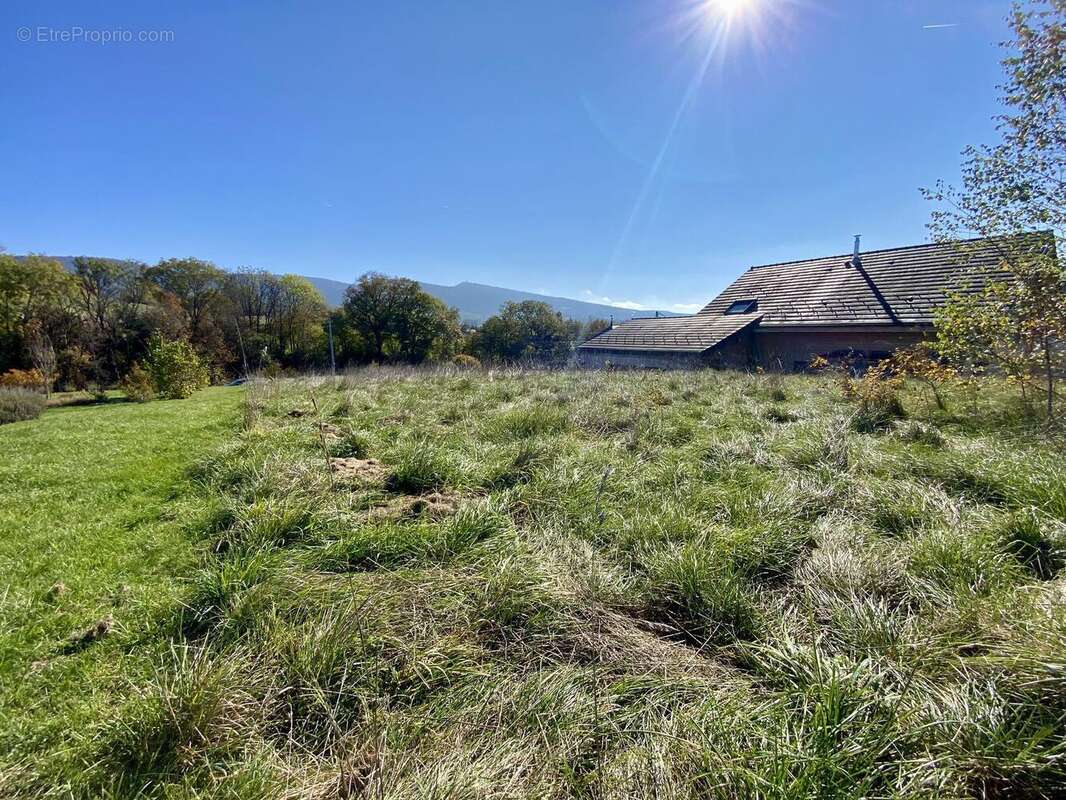 Photo 6 - Terrain à HAUTEVILLE-LOMPNES