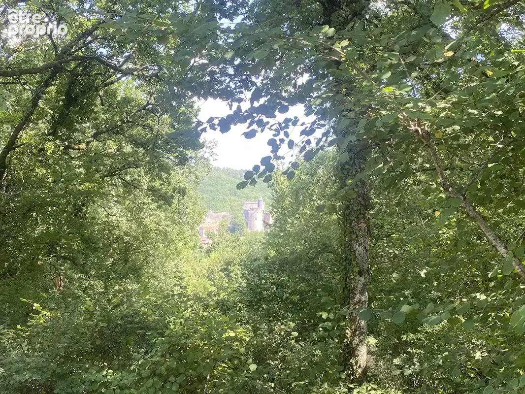 Propriété en pierre d’exception chargée d’histoire avec vues panoramiques sur le Château de Bonaguil - photo 20