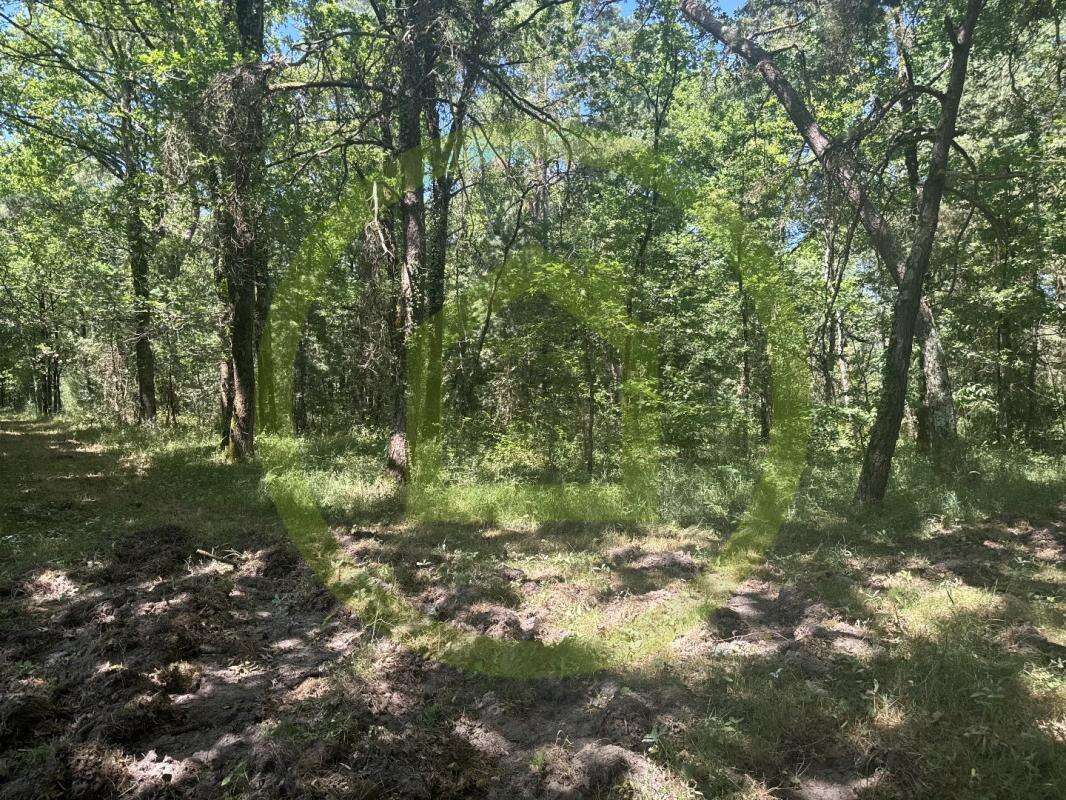 Maison à LA FERTE-SAINT-AUBIN