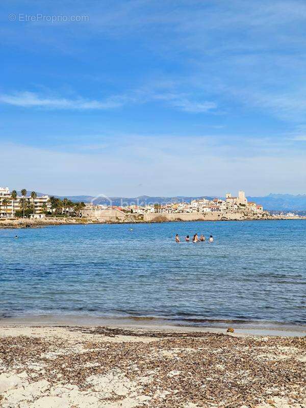 Nouveaute ! juan les pins pinede proche plages ! - photo 12
