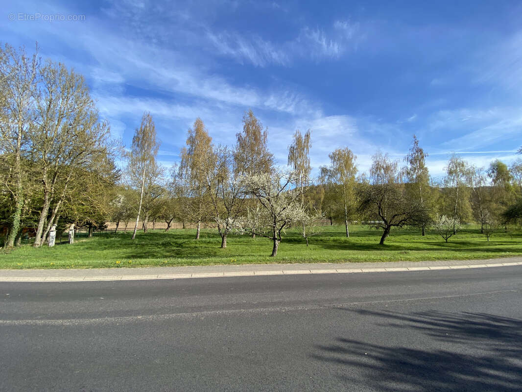 Terrain à HARGARTEN-AUX-MINES