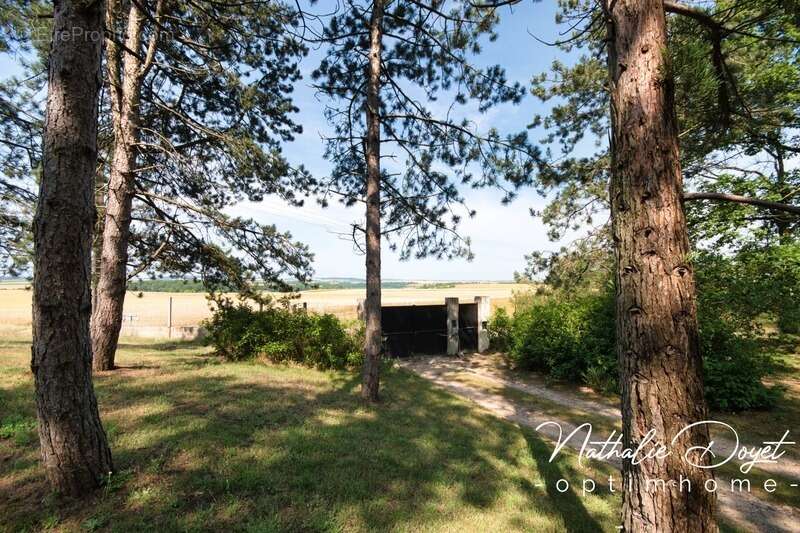 Maison à MONT-NOTRE-DAME