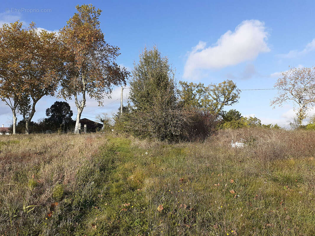 Terrain à CADOURS