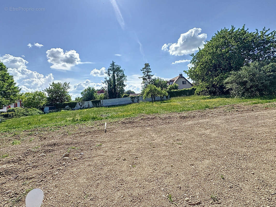 Terrain à COURCY