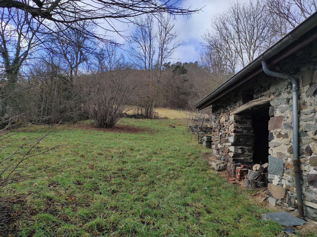 Maison à SAINT-JULIEN-DU-PINET