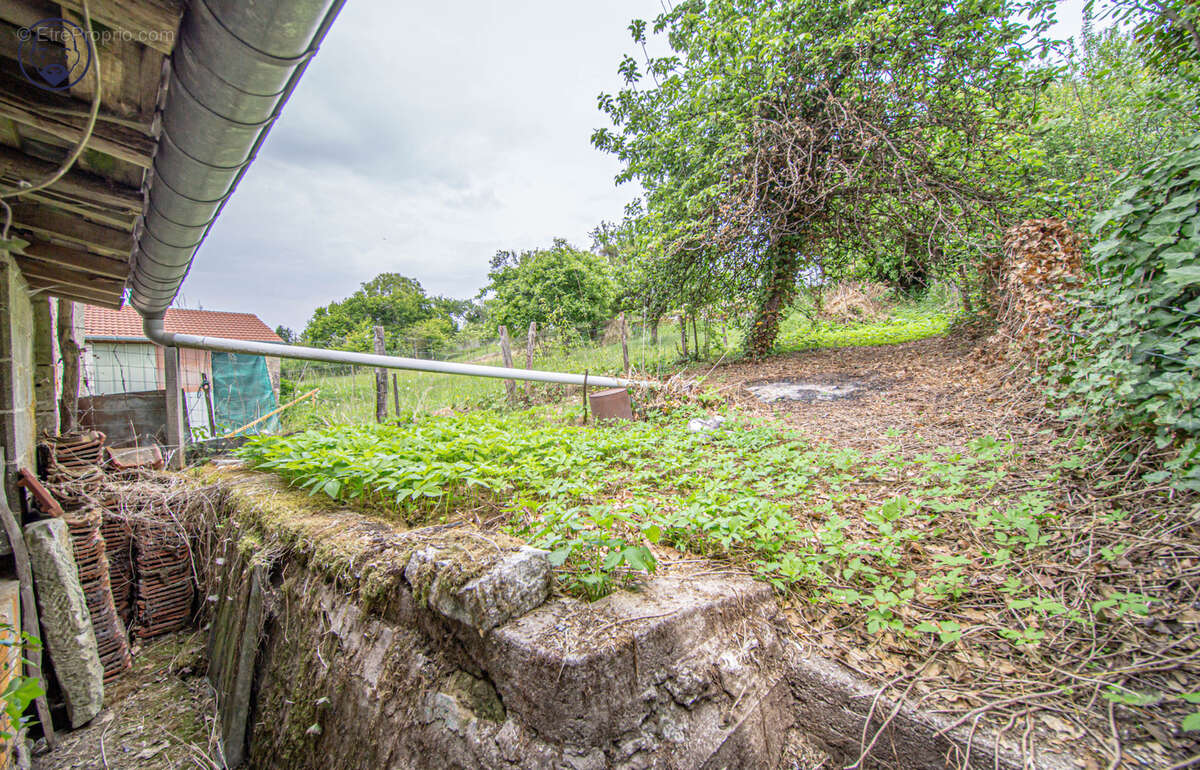 Maison à RIBEAUCOURT