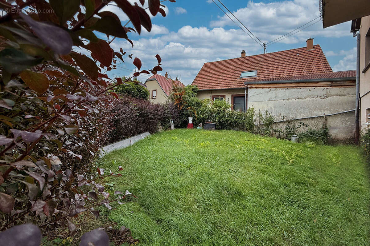 Appartement à INGWILLER