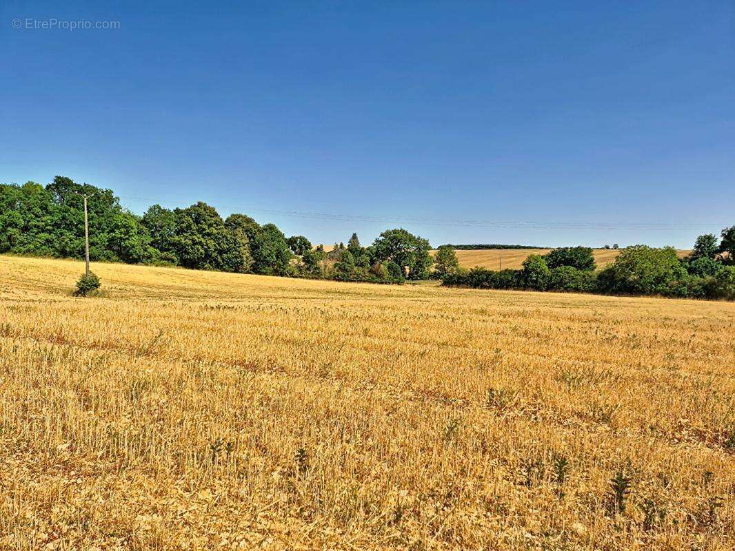 Un domaine de 11,6 hectares aux portes d'Avord - photo 8