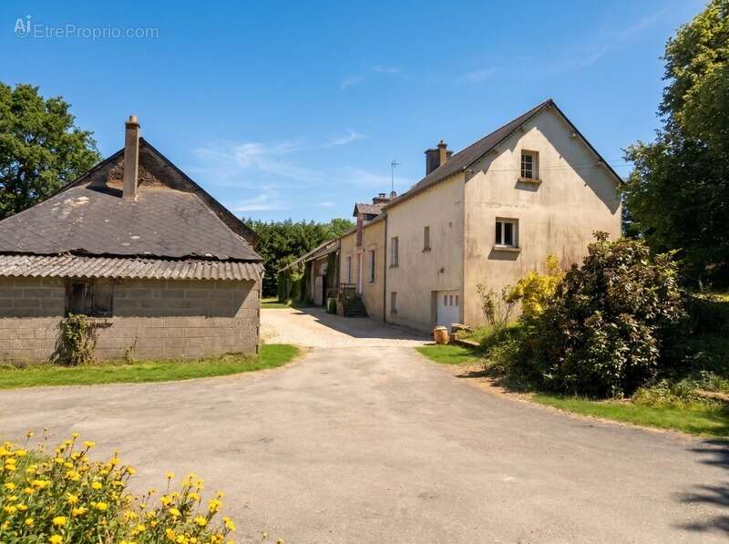 Longère en pierre – 150,76 m² – 6 pièces – 5 chambres – Terrain 6 345 m² – Dépendances – Hangar – Sous-sol complet - photo 2
