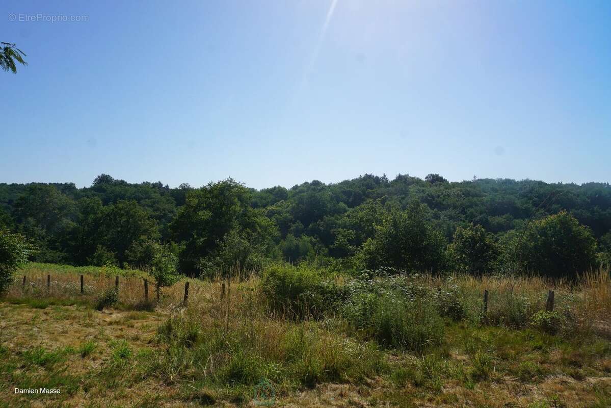 Maison avec dépendances dans le coeur du parc naturel régional Périgord-Limousin. - photo 5