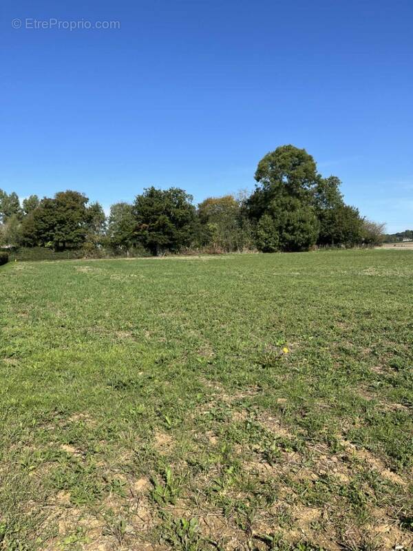 Terrain à BETHON
