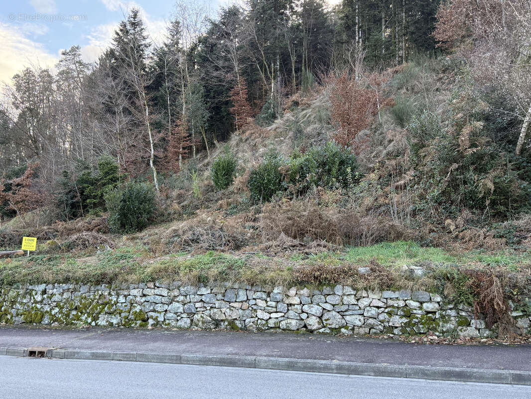 Terrain à SAINT-NABORD