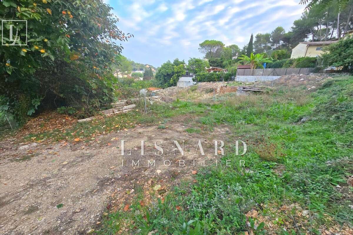 Terrain à VALLAURIS