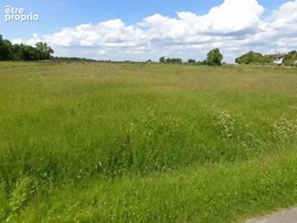 Terrain à SAINT-SAVIN