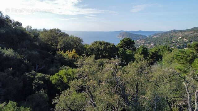 Terrain à RAYOL-CANADEL-SUR-MER