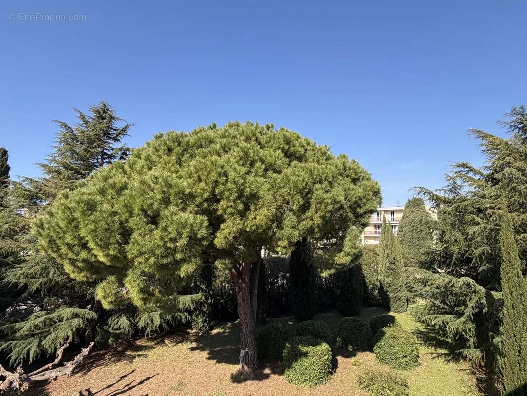 Appartement à SANARY-SUR-MER