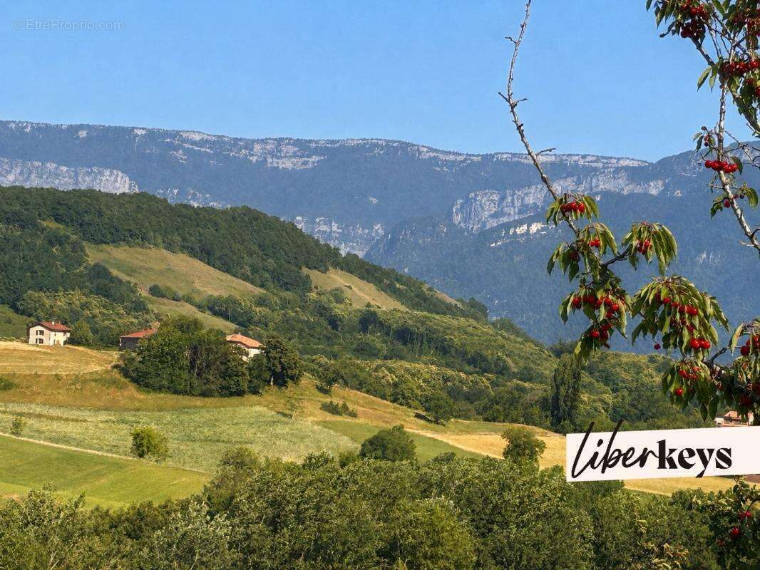 Varacieux – Maison au calme à 10 min de l’A49 et de toutes les commodités - photo 3