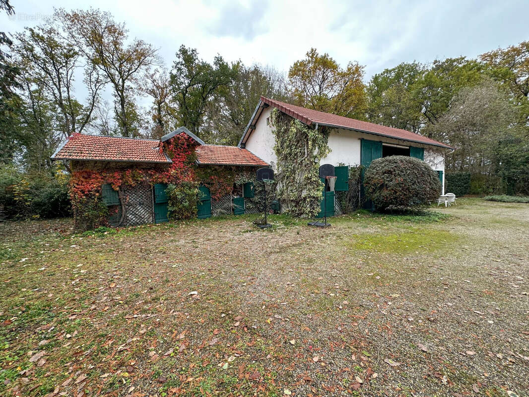 Maison 280 m² à Bellerive-Sur-Allier  - photo 7