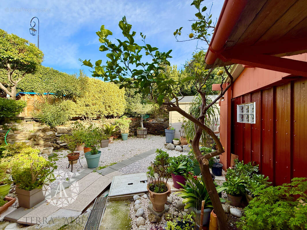 Maison à COLLIOURE