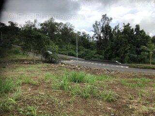 Terrain à LE TAMPON