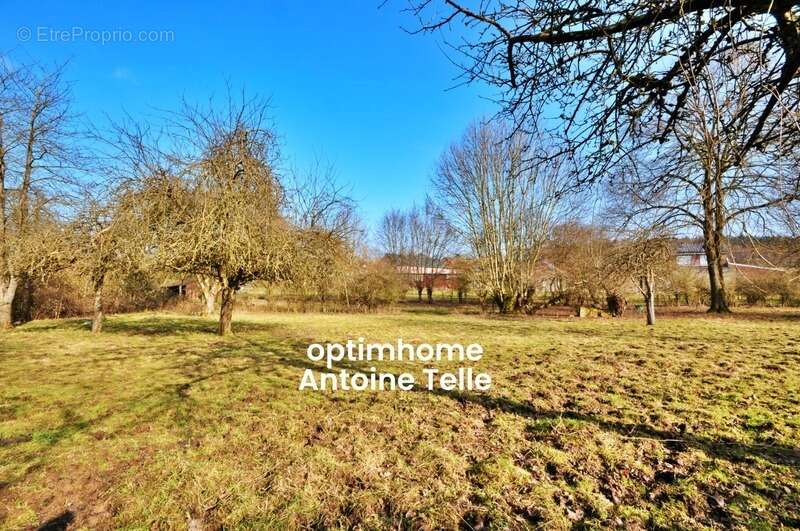 Terrain à POMMEREUIL