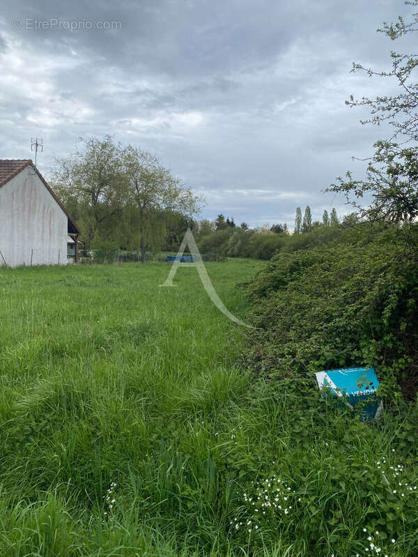 Terrain à Châtenoy 45 260 : Un Cadre Idéal pour Votre Future Maison - photo 2