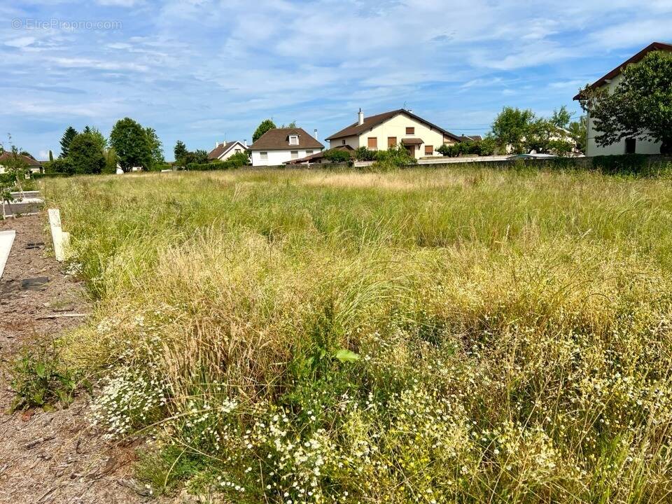 Terrain à VIRIAT
