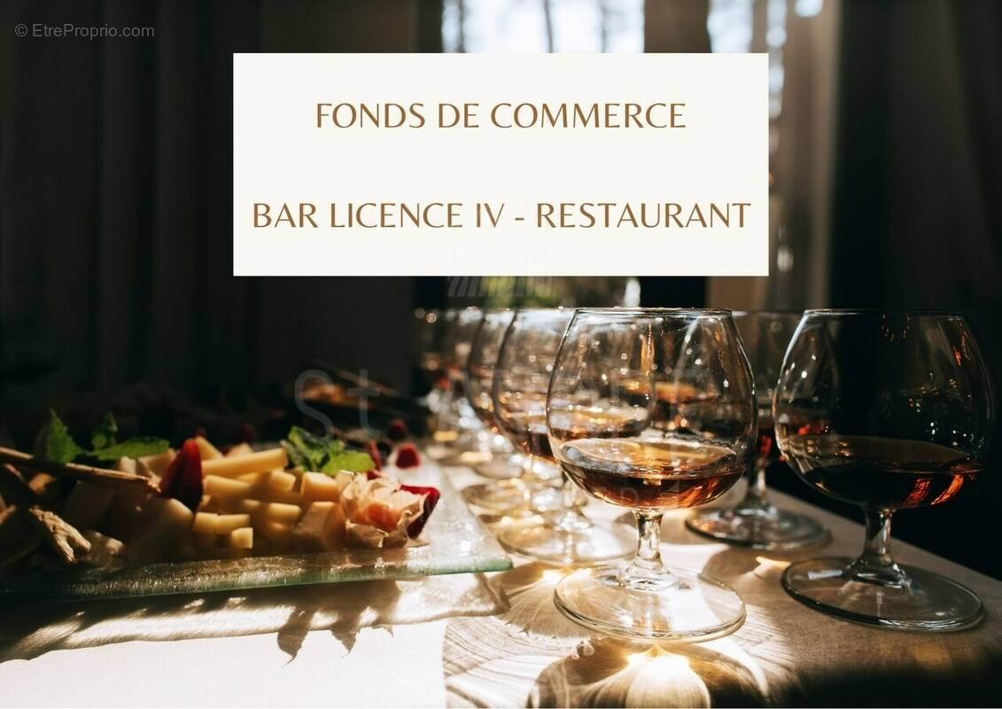 Commerce à VIENNE