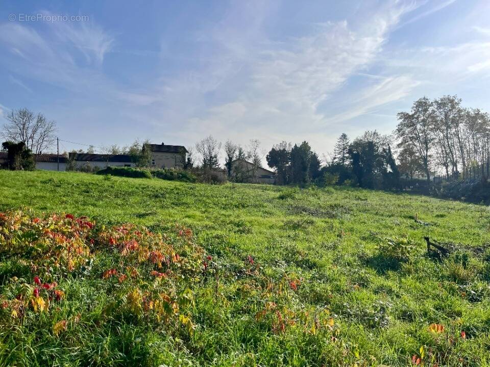 Terrain à SAINT-DIDIER-DE-FORMANS
