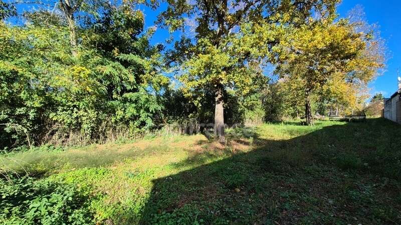 Maison à MORIGNY-CHAMPIGNY