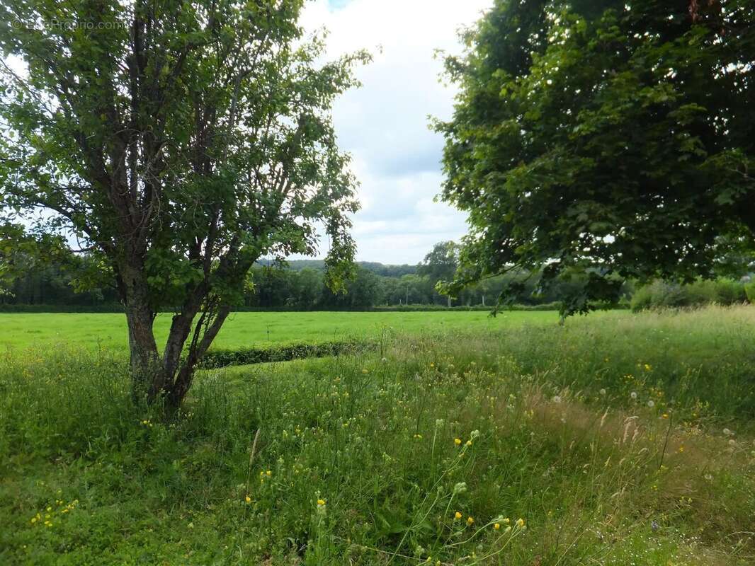 Maison à MERS-SUR-INDRE