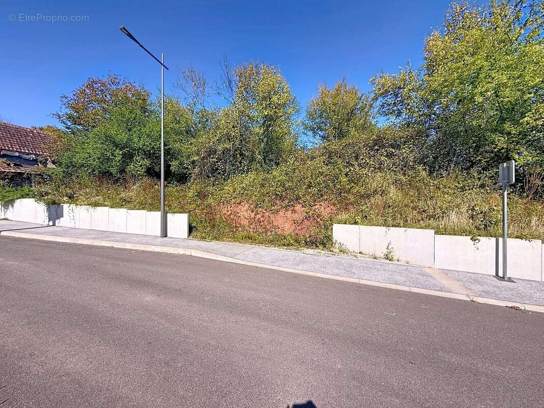 Terrain à CHALONVILLARS