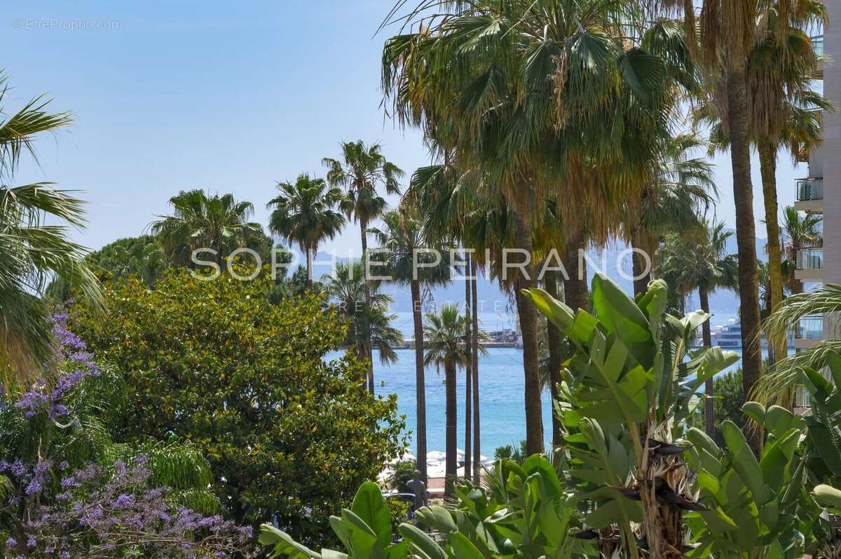 Appartement à CANNES