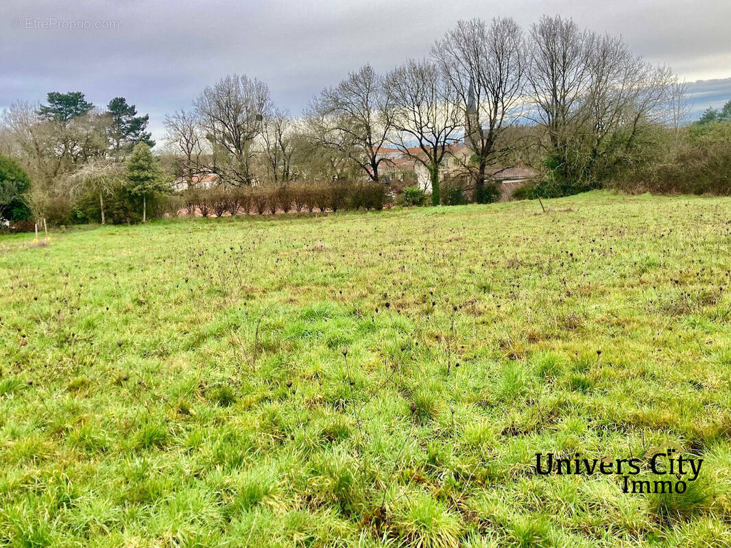 Terrain à PONT-SAINT-MARTIN