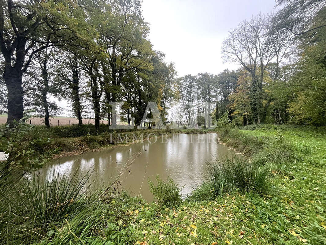Maison à MORTAGNE-AU-PERCHE