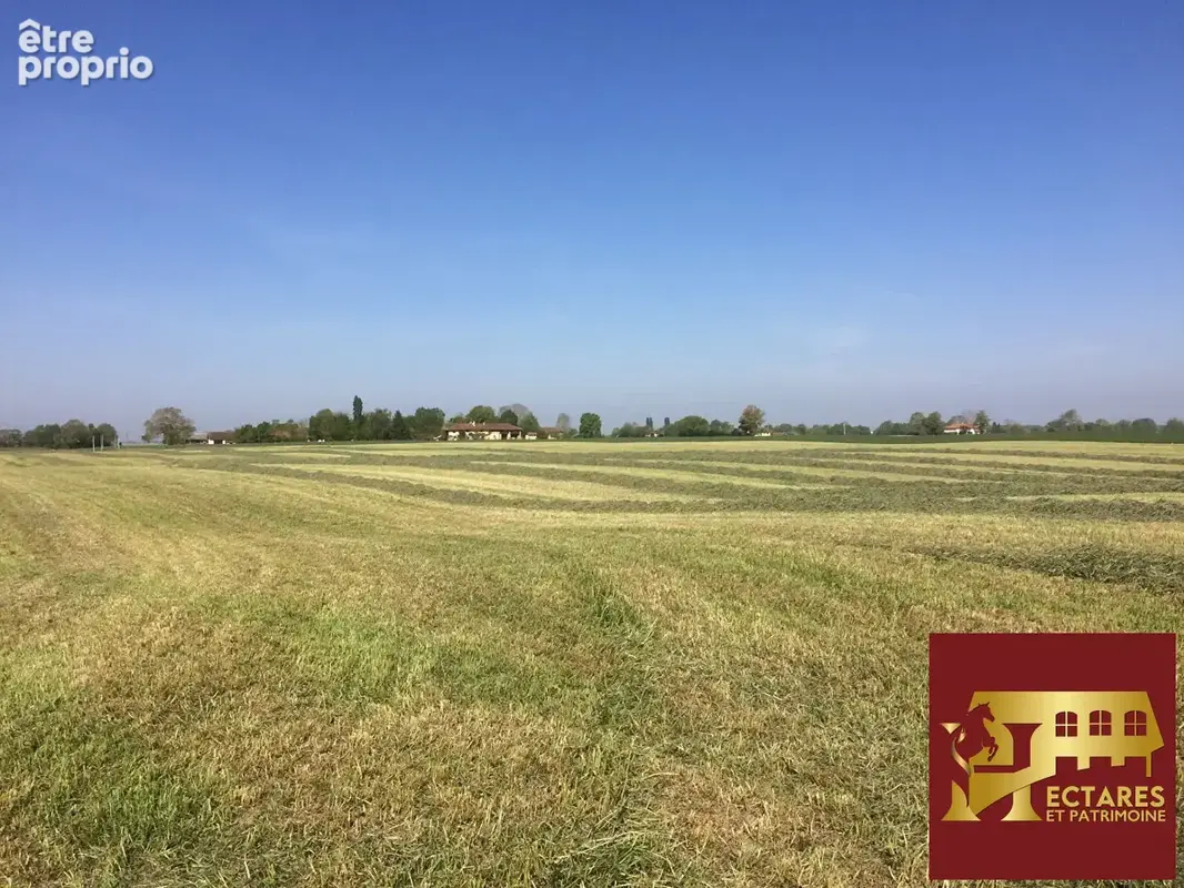 Propriété agricole 48 hectares - photo 6