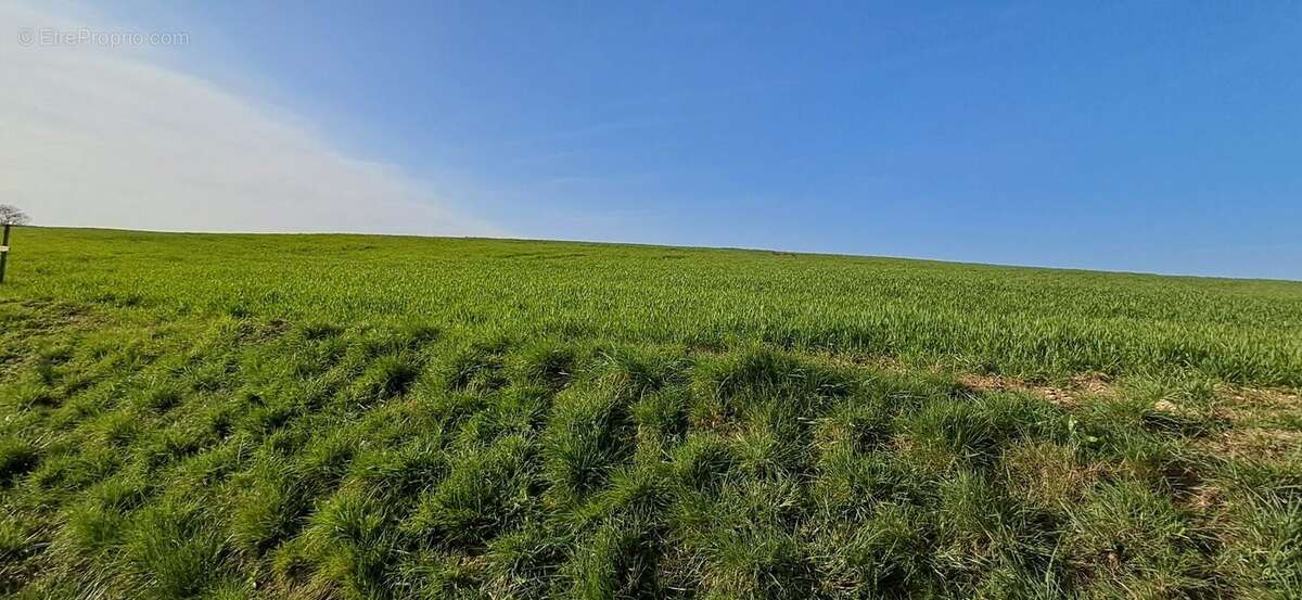 Terrain à VENDRESSE