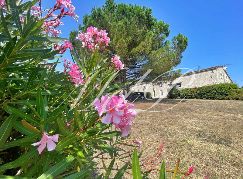 Longère avec vue fantastique  (33) - photo 6