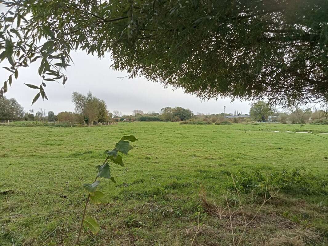 Terrain 2335 m² à Saint-Quentin-En-Tourmont  - photo 5