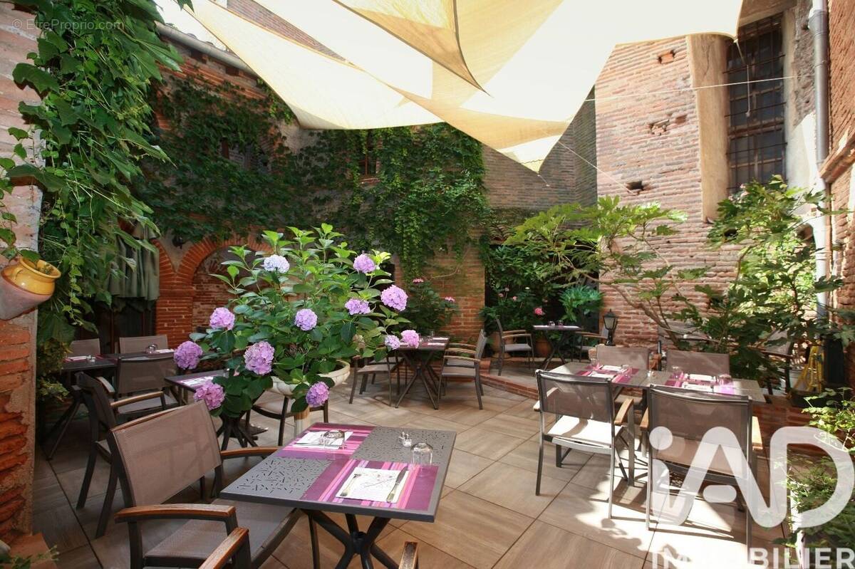 Photo 1 - Appartement à LISLE-SUR-TARN