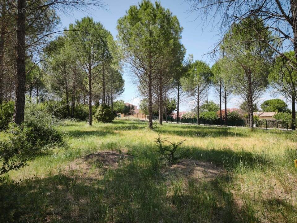 Terrain à ROQUEBRUNE-SUR-ARGENS