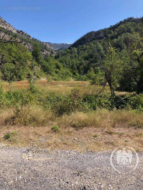 Terrain à CUEBRIS