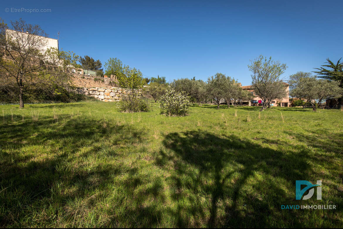 Terrain constructible - photo 6