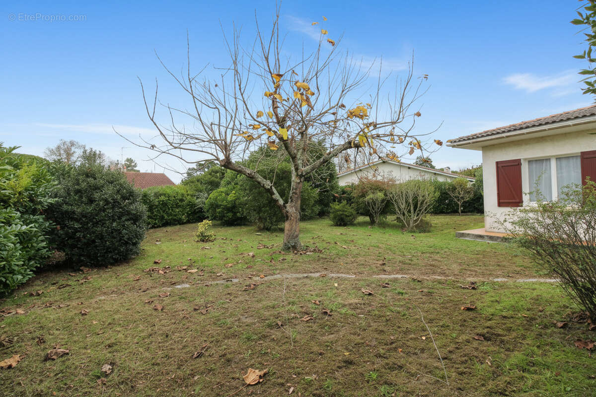 Maison à BISCARROSSE