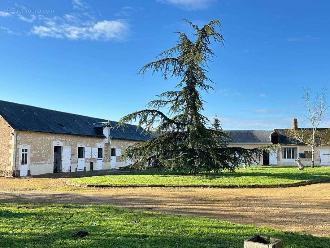 Maison à CHATEAU-DU-LOIR