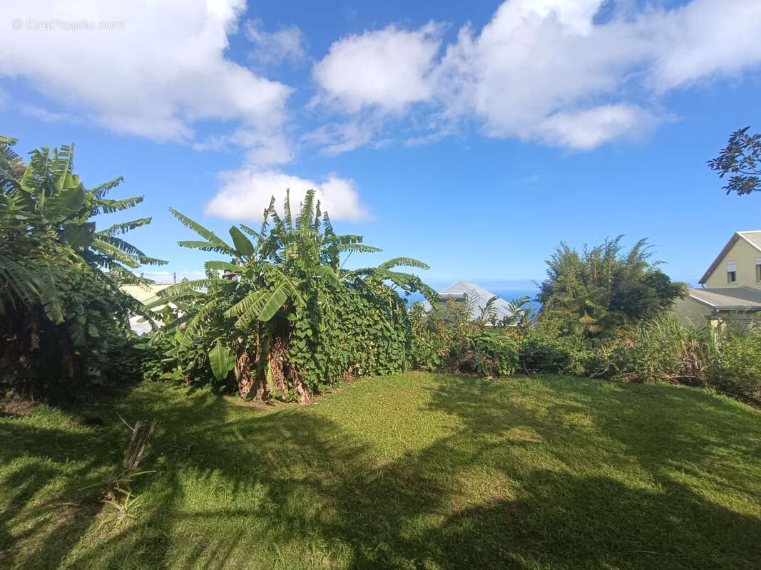 Terrain à PETITE-ILE